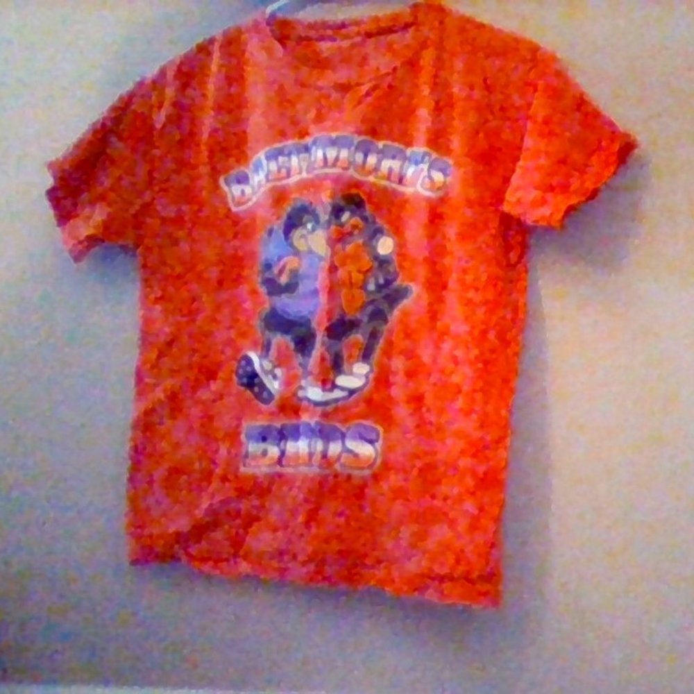 Baltimore Birds t-shirt